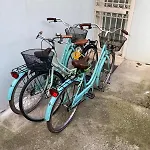 Emi Free Bike 3*