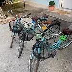 Emi Free Bike 3*