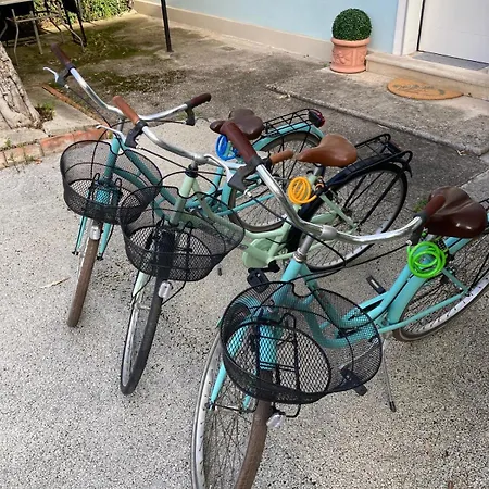 Emi Free Bike 3*